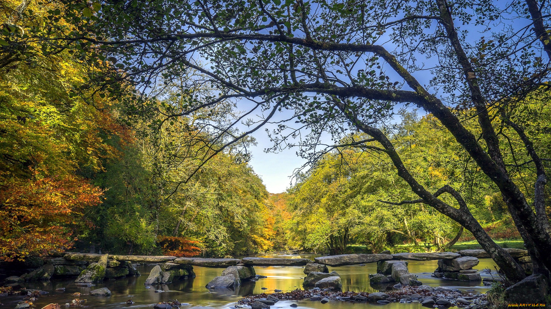 river barle, exmoor np, dulverton, england, , , , river, barle, exmoor, np